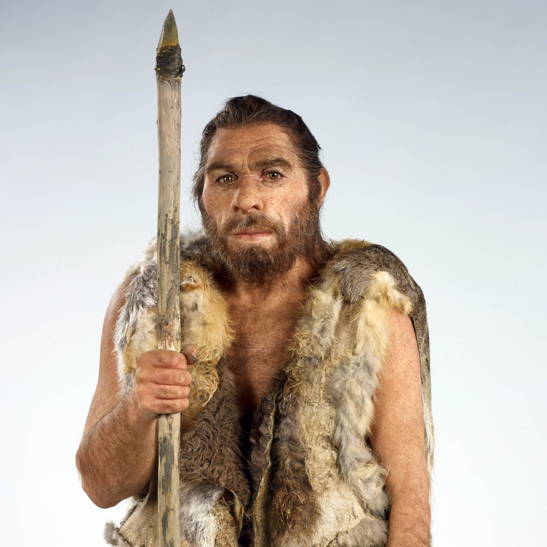Die Rekonstruktion des Neandertalers, dessen Skelett im LVR-LandesMuseum verwahrt wird. Die Rekonstruktion wurde von der französischen Künstlerin Élisabeth Daynès erstellt. Foto: J. Vogel, LVR-LandesMuseum Bonn.