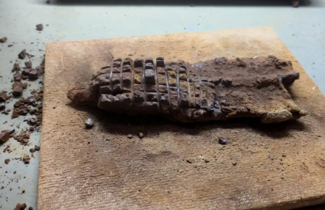 Dunkelbraune, korrodierte Metall&uuml;berreste auf einem Holzbrett