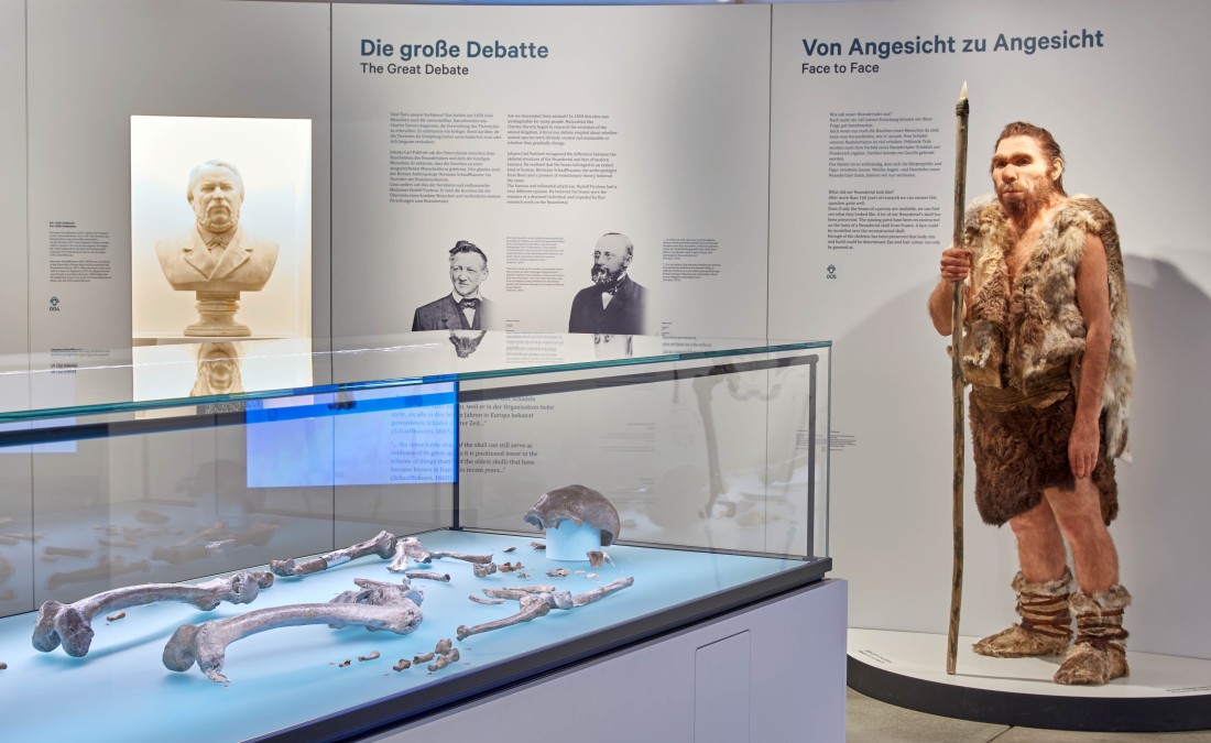 Einblick in den Neandertalerbereich des Museums mit dem Originalskelett im Vordergrund und der Rekonstruktion im Hintergrund.