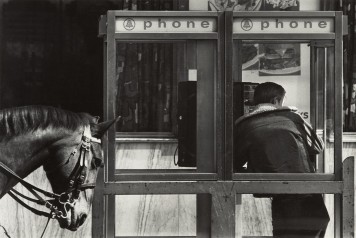 Ein Schwarz-Wweiß-Foto, auf dem ein Mann in einer Telefonzelle in Rückenansicht zu sehen ist. Daneben steht ein Pferd.